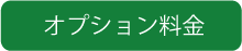 オプション料金